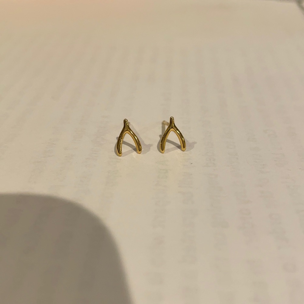Wishbone earrings